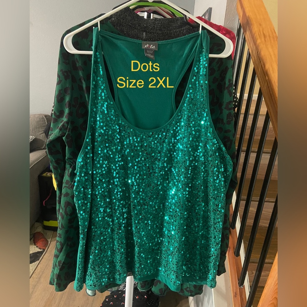 Turquoise sequin top size 2X
